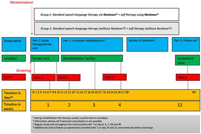 Follow-Up in Aphasia Caused by Acute Stroke in a Prospective, Randomized, Clinical, and Experimental Controlled Noninvasive Study With an iPad-Based App (Neolexon®): Study Protocol of the Lexi Study
